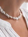 AnyConv.com__P1260632.webp