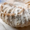 bransoletka-kamien-sloneczny