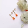 AnyConv.com__P1330098.webp